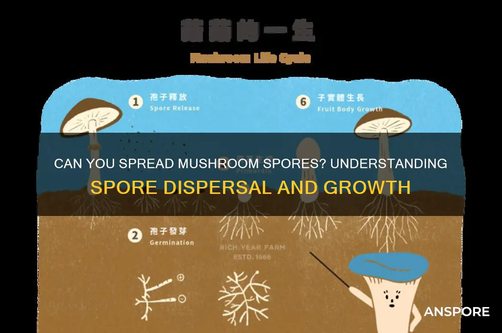 can you spread mushroom spores