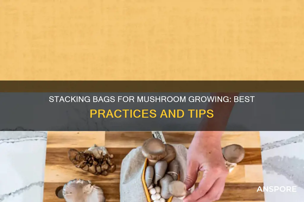 can you stack bags in mushroom growing