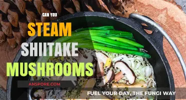 Steaming Shiitake Mushrooms: A Quick, Healthy, and Delicious Cooking Method