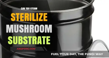 Steam Sterilizing Mushroom Substrate: Effective Techniques for Successful Cultivation