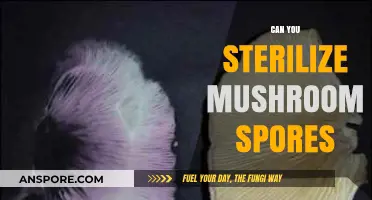 Sterilizing Mushroom Spores: Techniques, Challenges, and Best Practices Explained