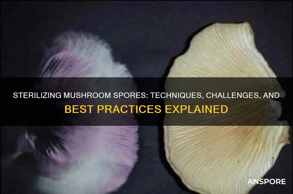 can you sterilize mushroom spores