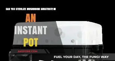 Sterilizing Mushroom Substrate in an Instant Pot: A Quick Guide