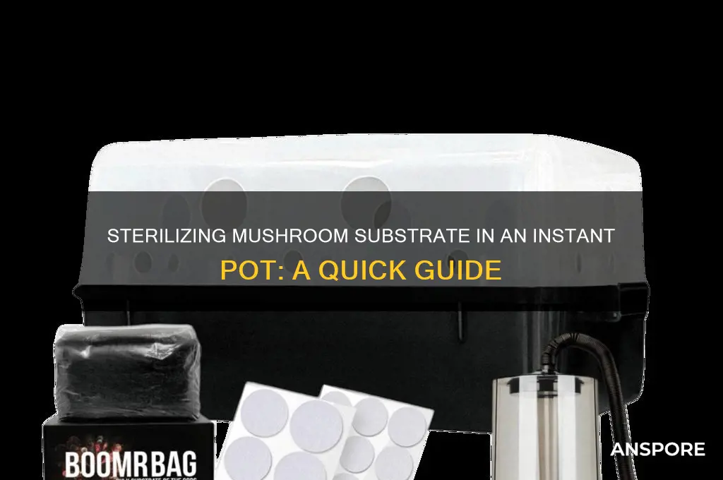 can you sterilize mushroom substrate in an instant pot