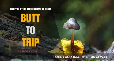 Can You Stick Mushrooms in Your Butt to Trip?