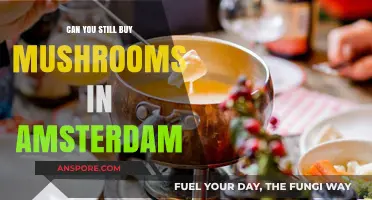 Amsterdam's Magic Mushroom Scene: Are They Still Available in 2023?