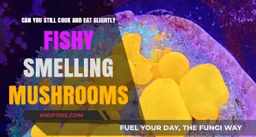 Slightly Fishy Mushrooms: Safe to Cook and Eat or Toss?