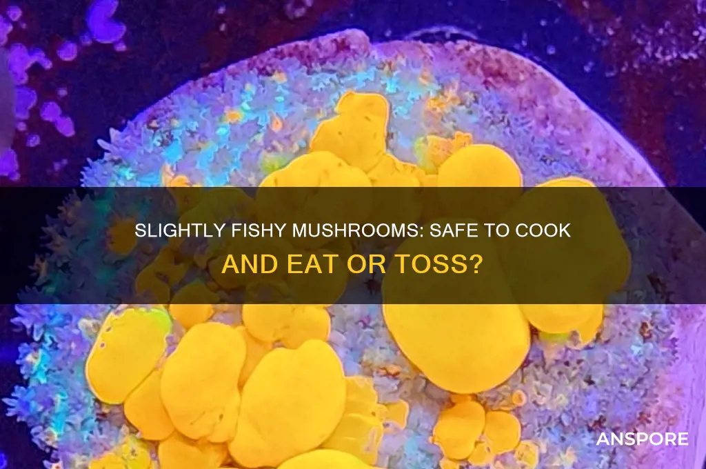 can you still cook and eat slightly fishy smelling mushrooms