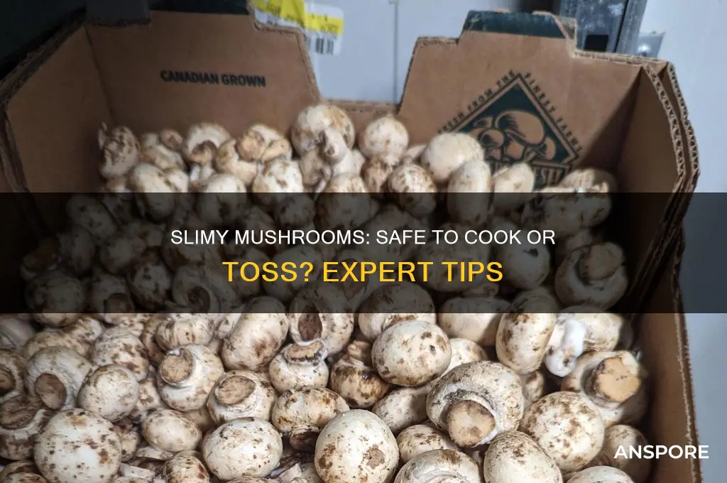 can you still cook mushrooms if they are slimy