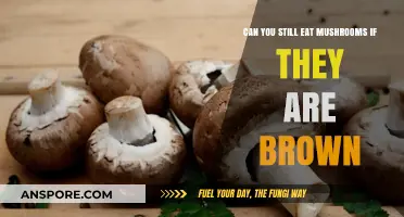 Brown Mushrooms: Safe to Eat or Toss? Expert Advice