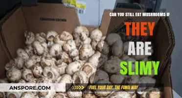 Slimy Mushrooms: Safe to Eat or Toss? Expert Advice
