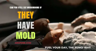 Moldy Mushrooms: Safe to Eat or Toss Them Out?