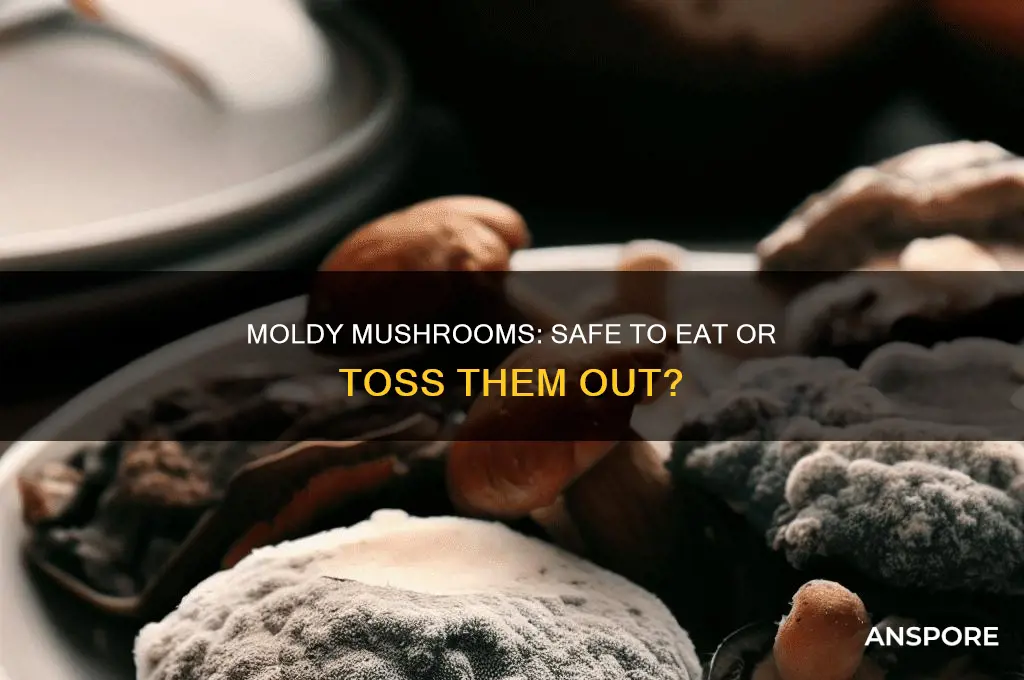 can you still eat mushrooms if they have mold