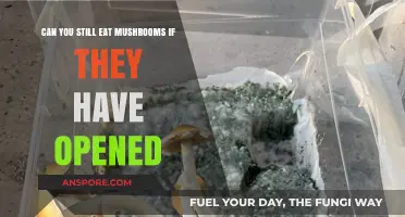 Opened Mushrooms: Safe to Eat or Time to Toss?