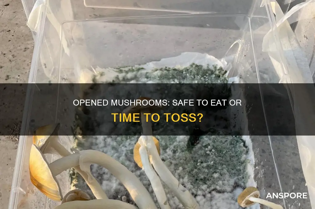 can you still eat mushrooms if they have opened
