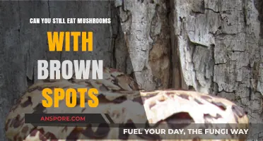 Are Brown-Spotted Mushrooms Safe to Eat? A Quick Guide