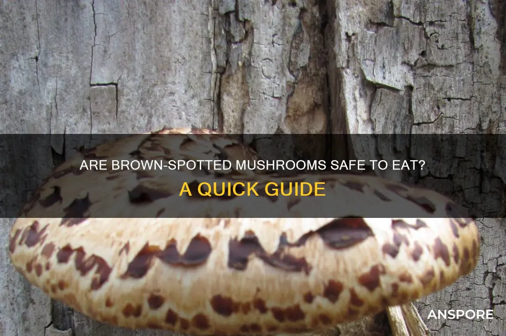 can you still eat mushrooms with brown spots