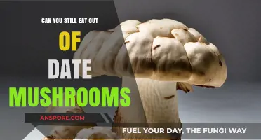 Expired Mushrooms: Safe to Eat or Toss? Expert Advice
