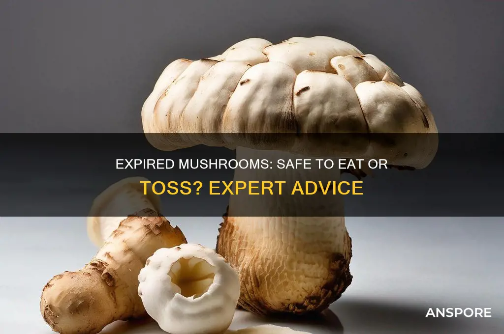 can you still eat out of date mushrooms