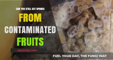 Contaminated Fruits: Can You Safely Harvest Spores from Them?