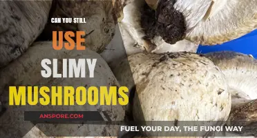 Slimy Mushrooms: Safe to Eat or Toss? Expert Advice