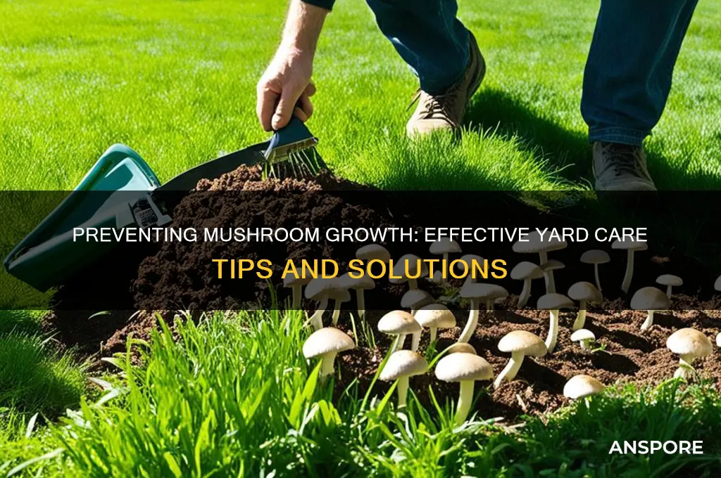 can you stop mushrooms from growing in your yard