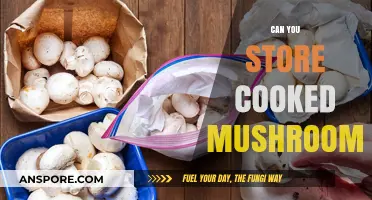 Storing Cooked Mushrooms: Tips for Freshness and Safety