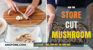 Storing Cut Mushrooms: Tips for Freshness and Longevity