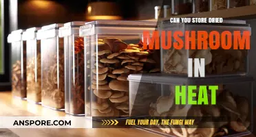 Storing Dried Mushrooms in Heat: Risks and Best Practices