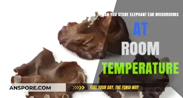 Storing Elephant Ear Mushrooms: Room Temperature Tips and Best Practices