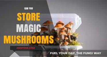 Storing Magic Mushrooms: Best Practices for Longevity and Potency