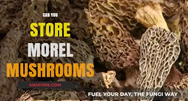 Storing Morel Mushrooms: Tips for Preserving Their Unique Flavor and Texture