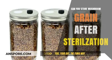 Storing Mushroom Grain Post-Sterilization: Best Practices and Tips