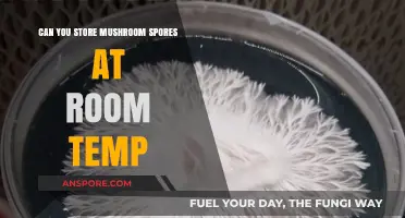 Storing Mushroom Spores at Room Temperature: Best Practices and Tips