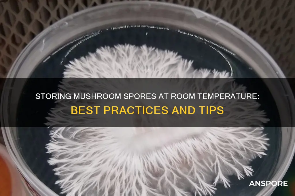 can you store mushroom spores at room temp
