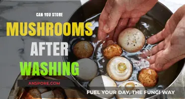Washing Mushrooms: Best Practices for Storage and Freshness