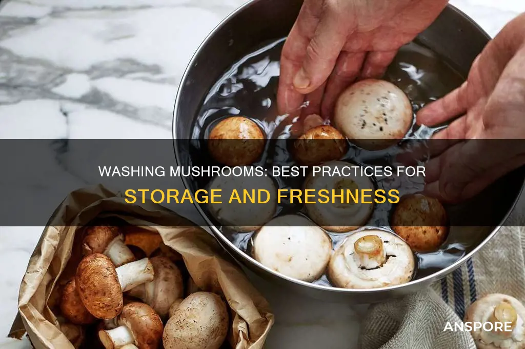 can you store mushrooms after washing