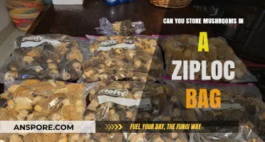 Storing Mushrooms in Ziploc Bags: Tips for Freshness and Longevity