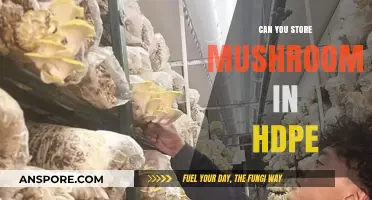 Storing Mushrooms in HDPE: Best Practices and Safety Tips
