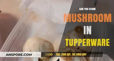 Storing Mushrooms in Tupperware: Best Practices for Freshness and Longevity