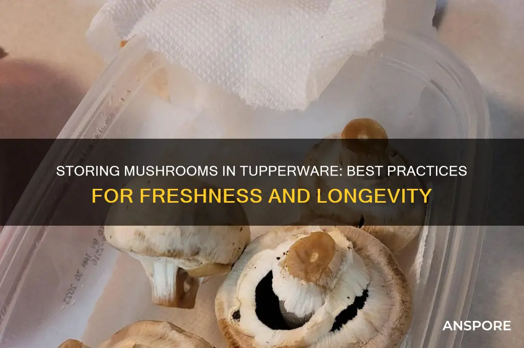 can you store mushrooms in tupperware