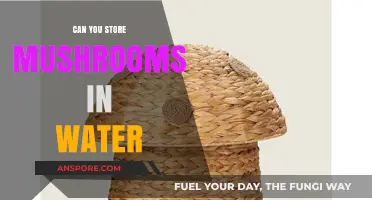 Storing Mushrooms in Water: A Safe Practice or Risky Move?