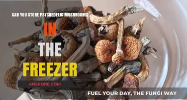 Freezing Psychedelic Mushrooms: Safe Storage Tips and Best Practices