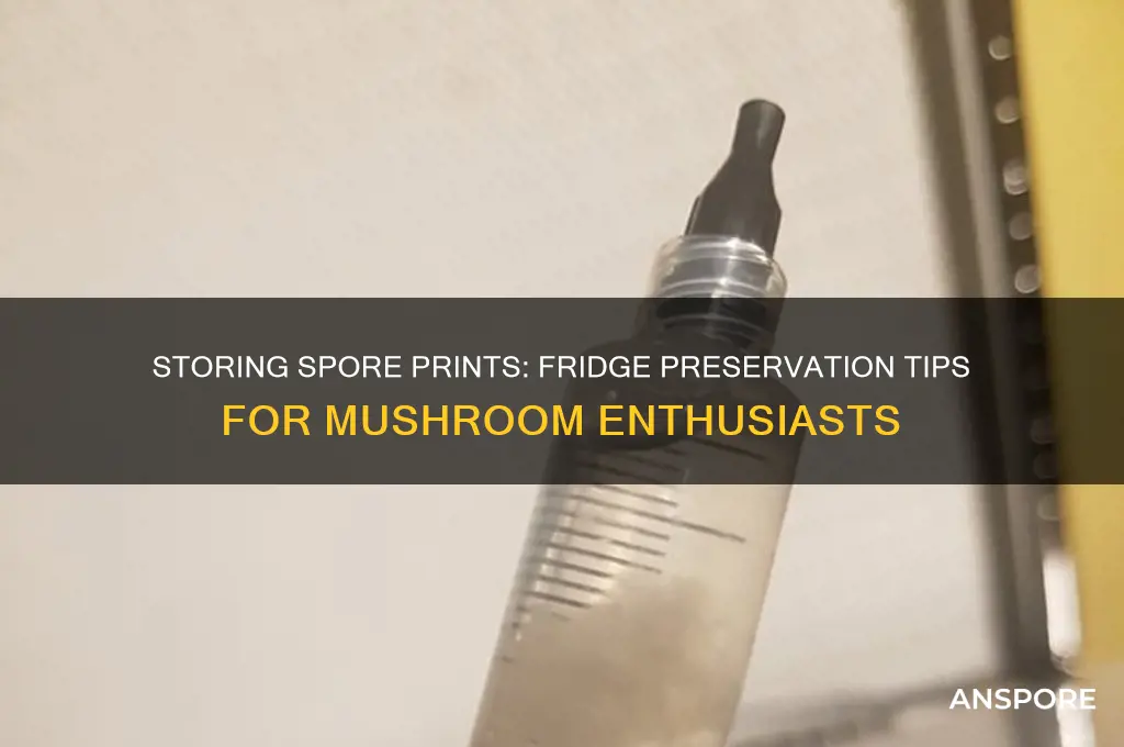 can you store spore prints in the fridge