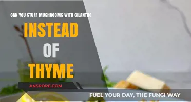 Cilantro-Stuffed Mushrooms: A Tasty Thyme Alternative Recipe Idea