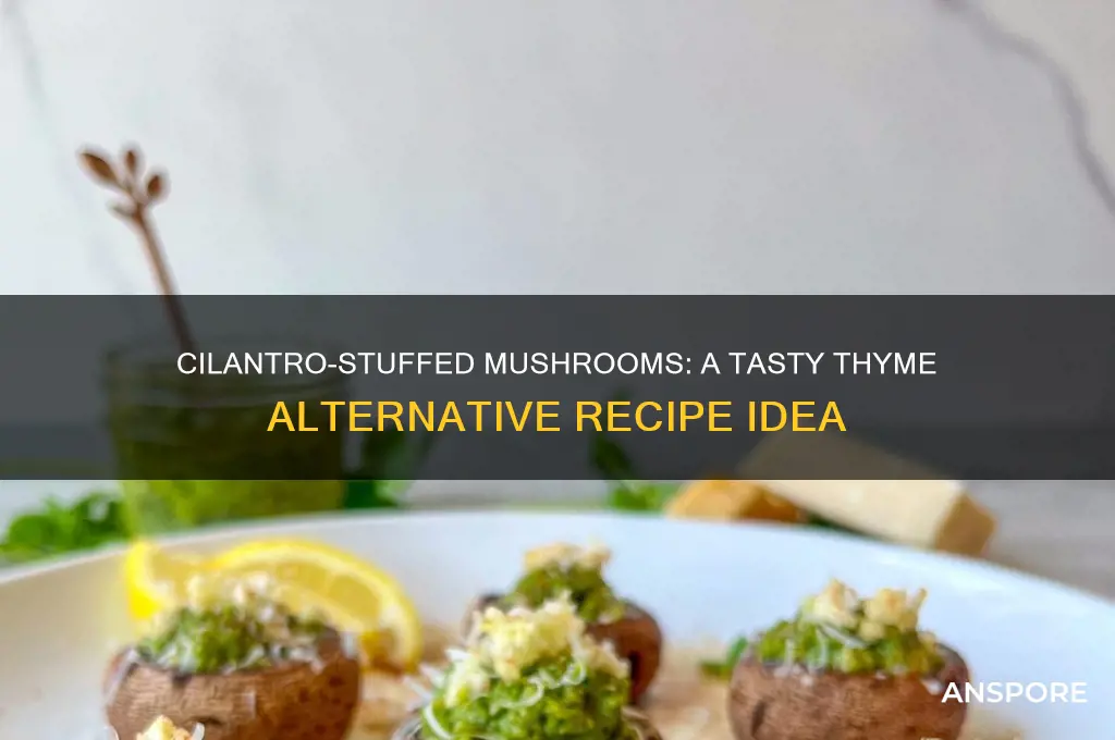 can you stuff mushrooms with cilantro instead of thyme