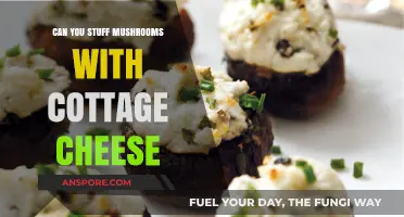 Stuffed Mushrooms with Cottage Cheese: A Creamy, Healthy Twist