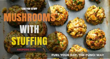Stuffed Mushrooms with Stuffing: A Delicious and Easy Recipe Idea