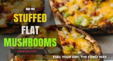 Stuffed Flat Mushrooms: Easy, Delicious Recipes and Cooking Tips
