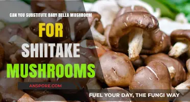 Baby Bella vs. Shiitake: Can You Substitute in Recipes?